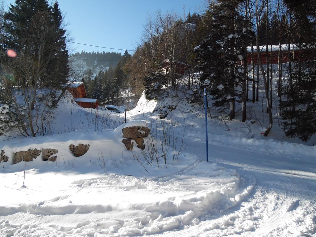 Chalet Monts Jura Villa Mijoux Exterior photo